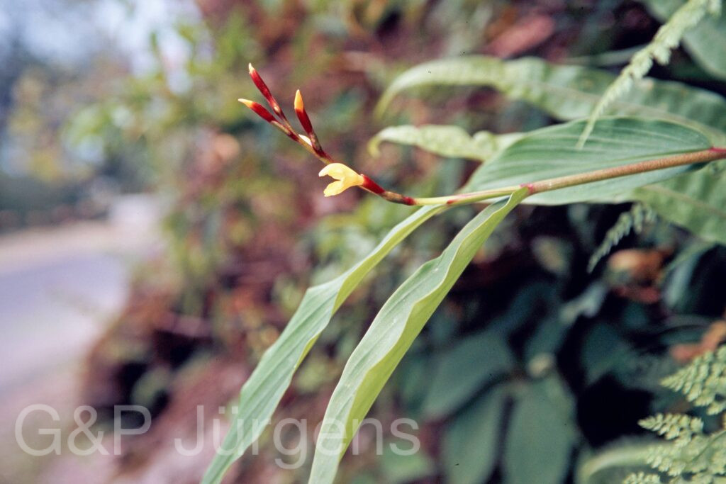 Garh 07 92 ergebnis