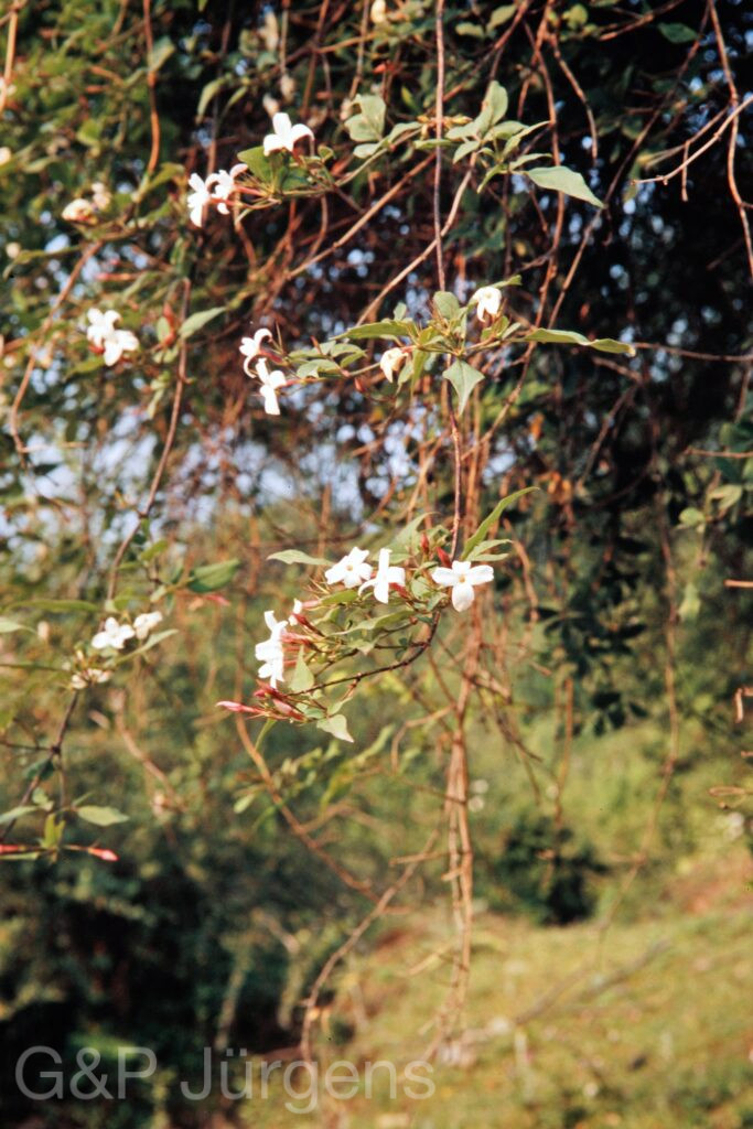 Garh 07 94 ergebnis