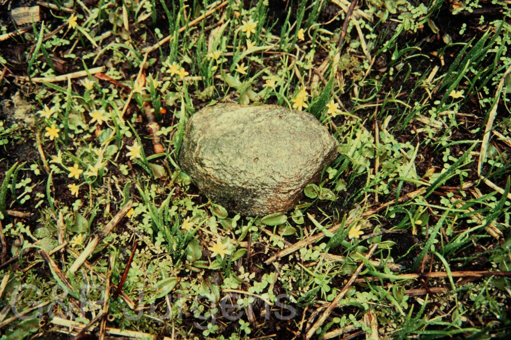 Nepal 97 140 G265