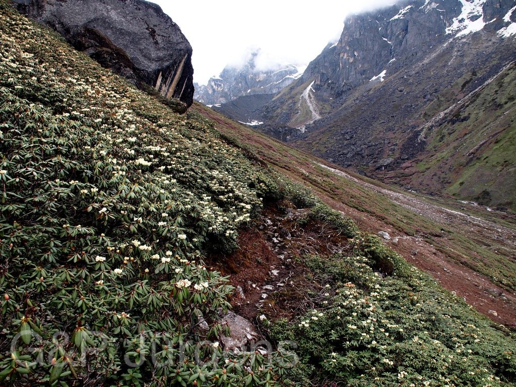 Sikkim2011 290