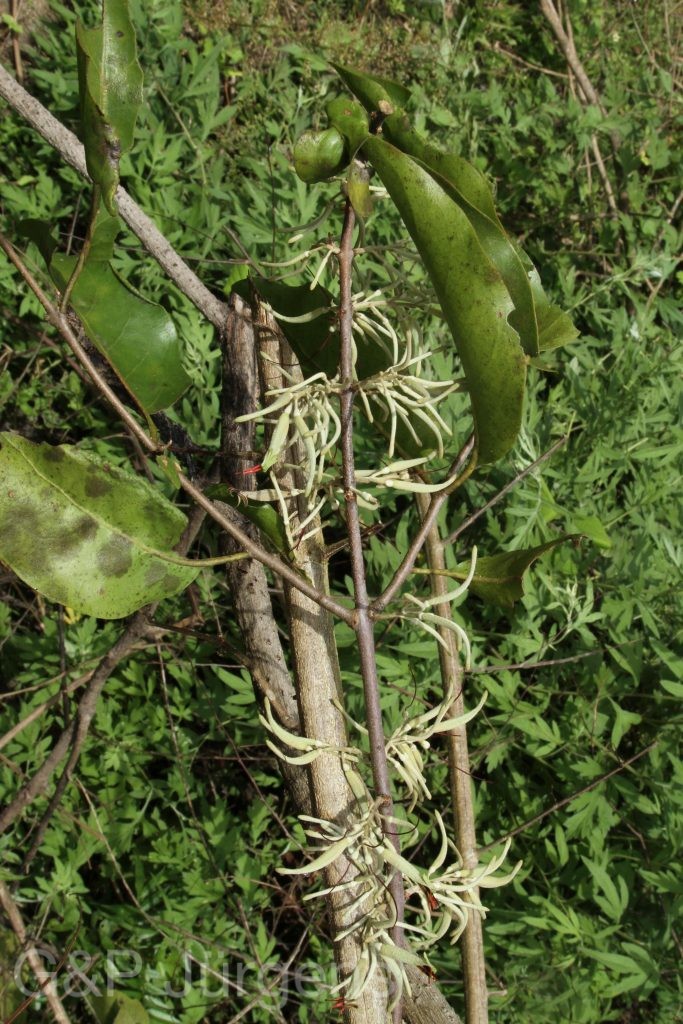 Bhutan2012 1241
