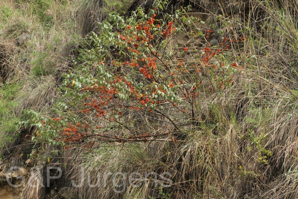 Bhutan2014 147
