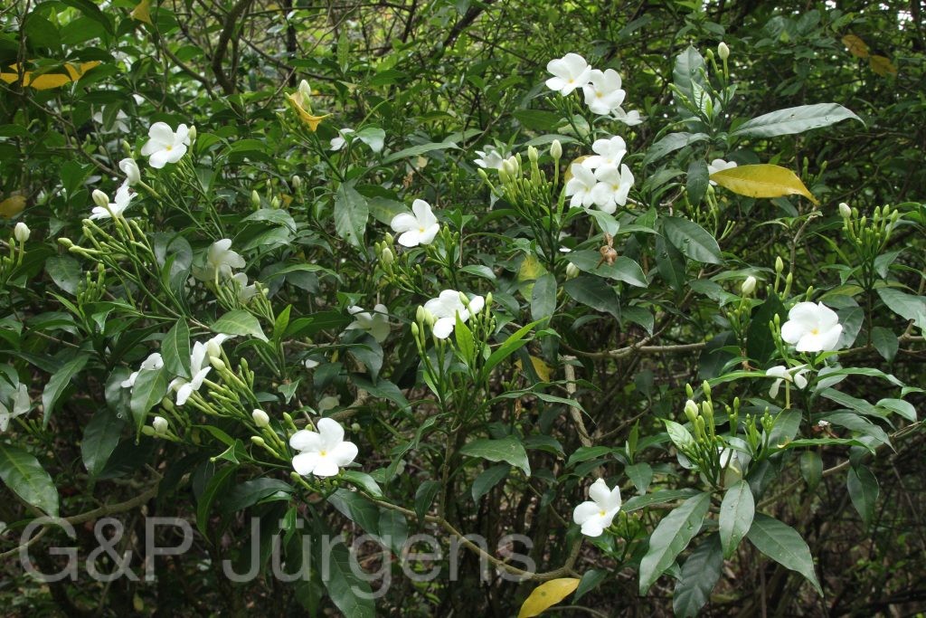 Bhutan2014 64