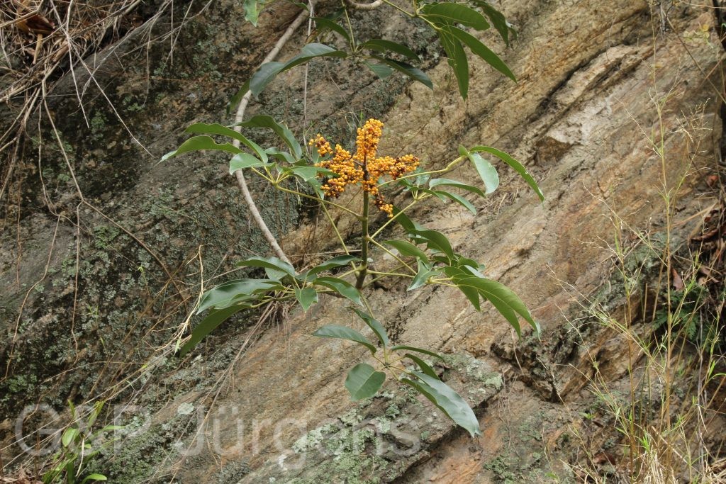 Bhutan2014 71