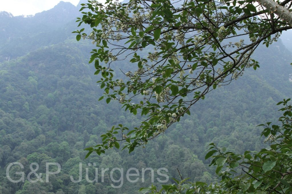 Bhutan2014 793