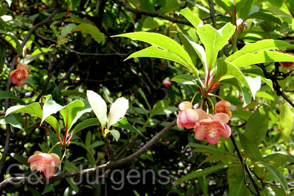 Sikkim2011 189