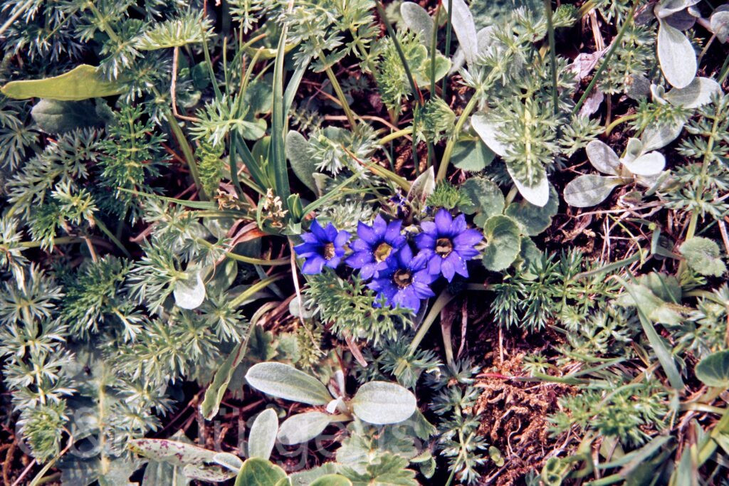 Garh 07 393 ergebnis