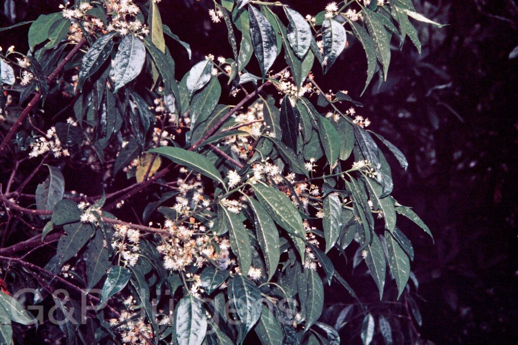 Garh 07 236 ergebnis