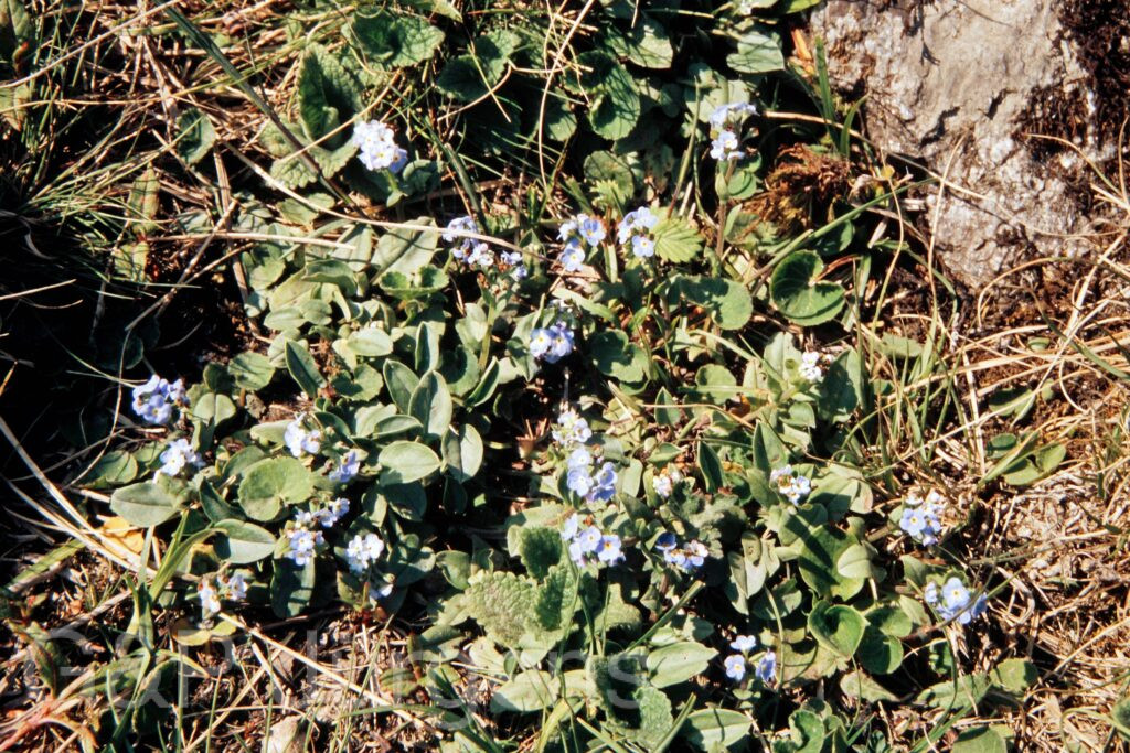 Garh 07 196 ergebnis