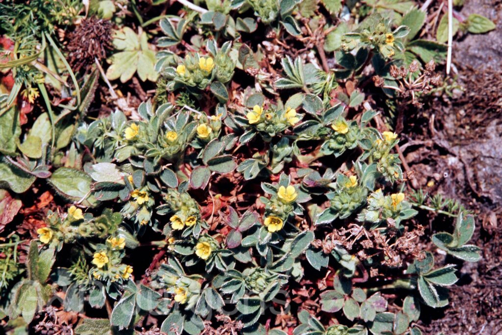 Garh 07 206 ergebnis