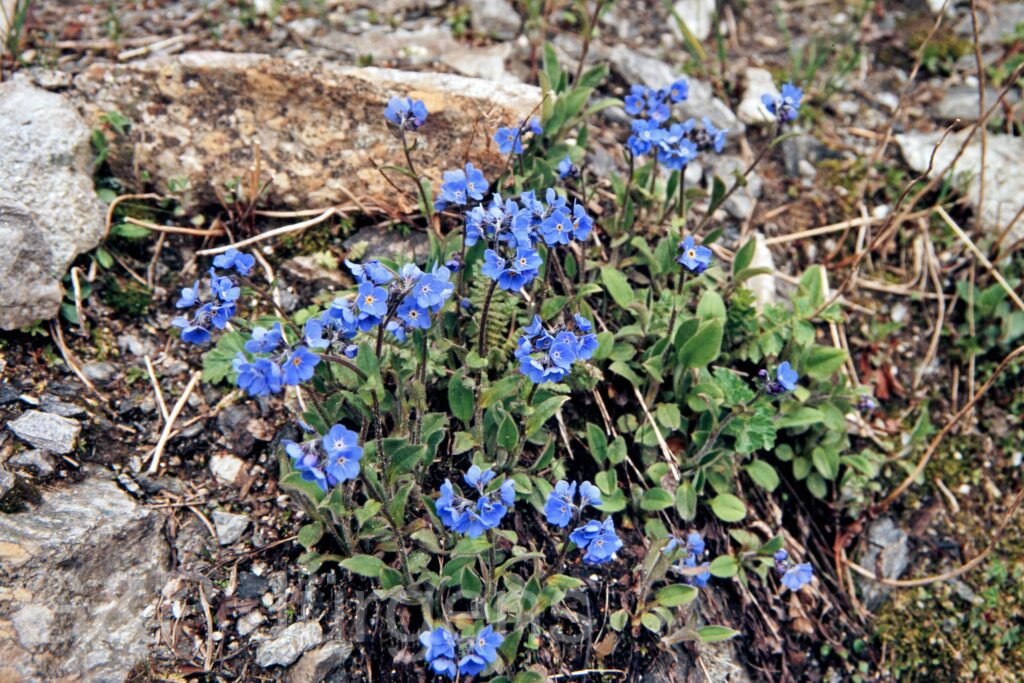 Garh 07 391 ergebnis