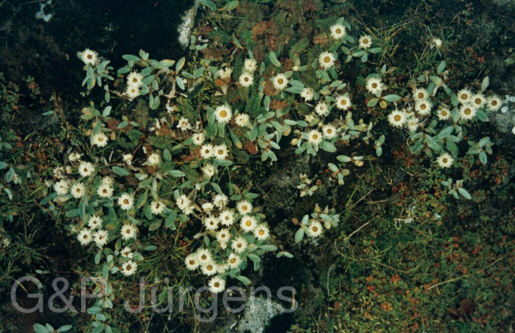 Garw 2005 150 ergebnis ergebnis