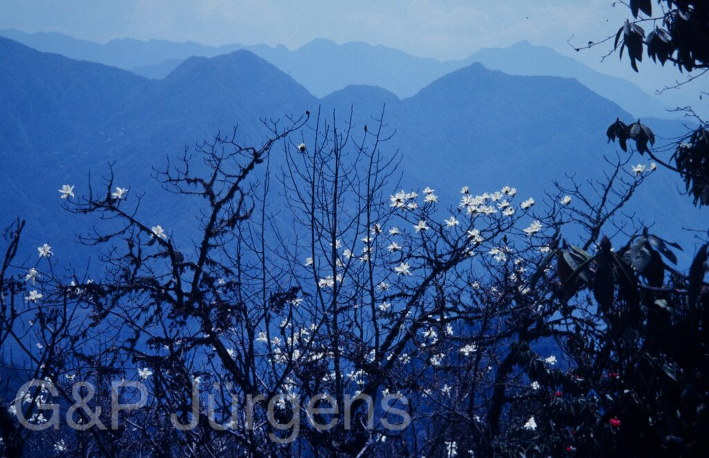 Nepal1992 149 P216 ergebnis