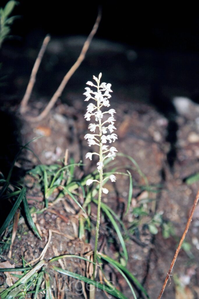 Garh 07 281 ergebnis