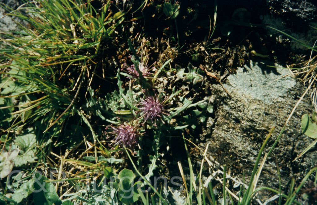 Garw 2005 104 ergebnis ergebnis