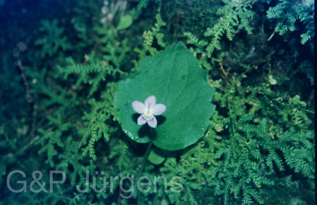 Garw 2005 222 ergebnis ergebnis
