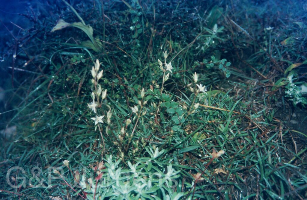 Garw 2005 227 ergebnis ergebnis