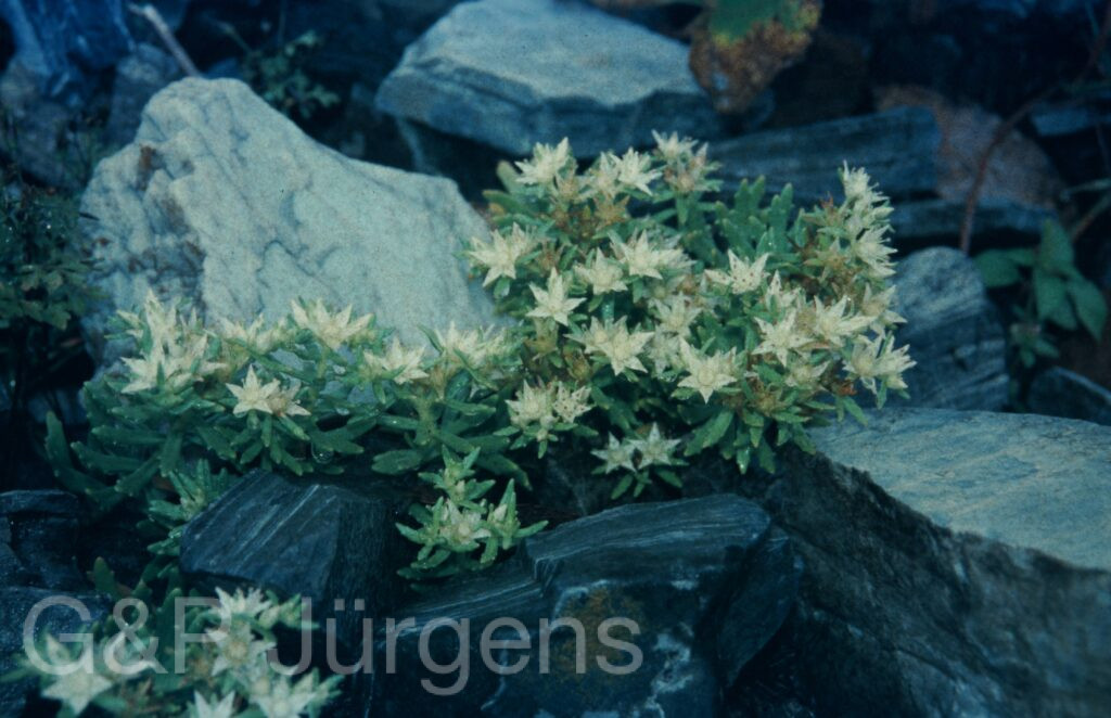 Garw 2005 234 ergebnis ergebnis
