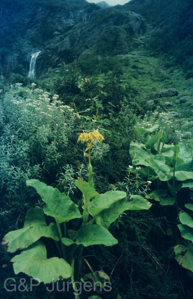 Garw 2005 33 ergebnis ergebnis
