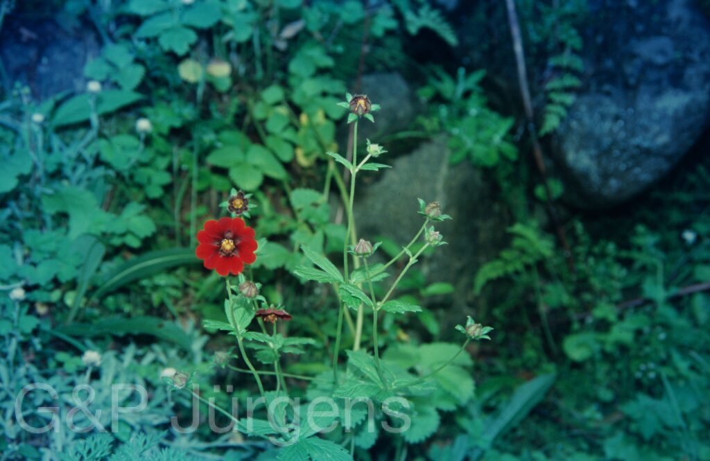 Garw 2005 48 ergebnis ergebnis