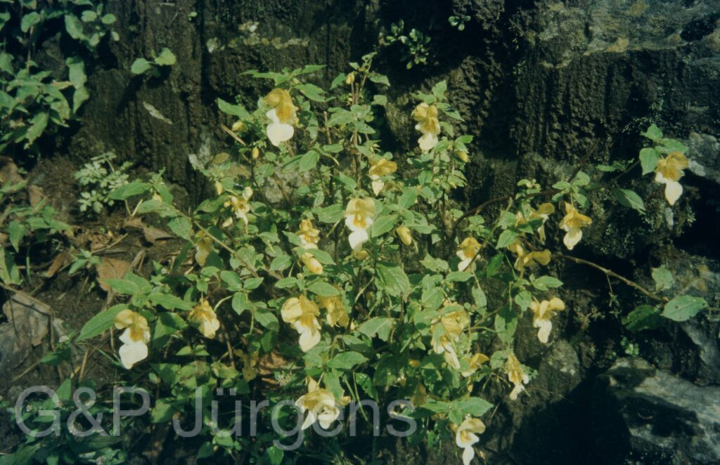Garw 2005 73 ergebnis ergebnis