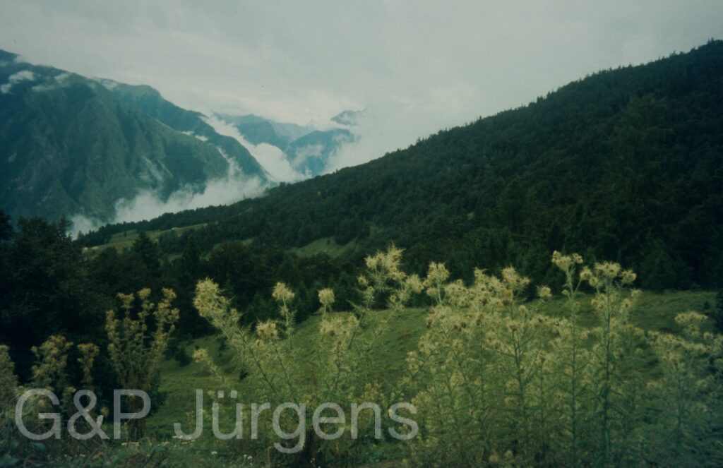 Garw 2005 76 ergebnis ergebnis