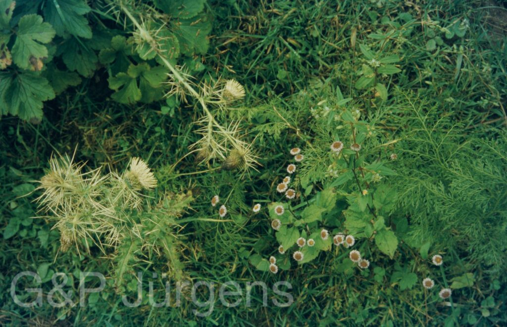 Garw 2005 77 ergebnis ergebnis