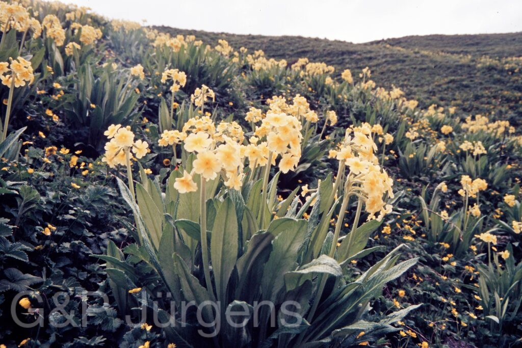 Garh 07 416 ergebnis