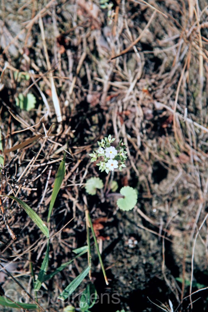 Garh 07 23 ergebnis