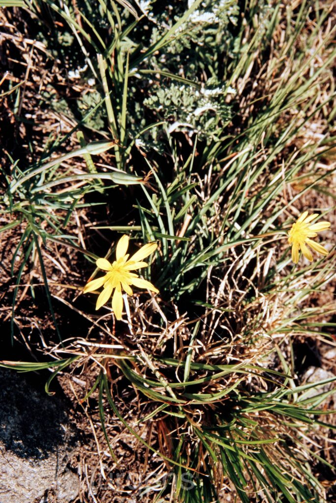 Garh 07 34 ergebnis