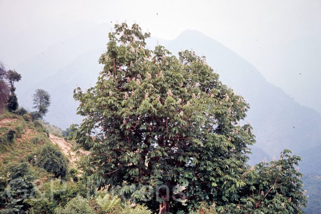 Garh 07 82 ergebnis