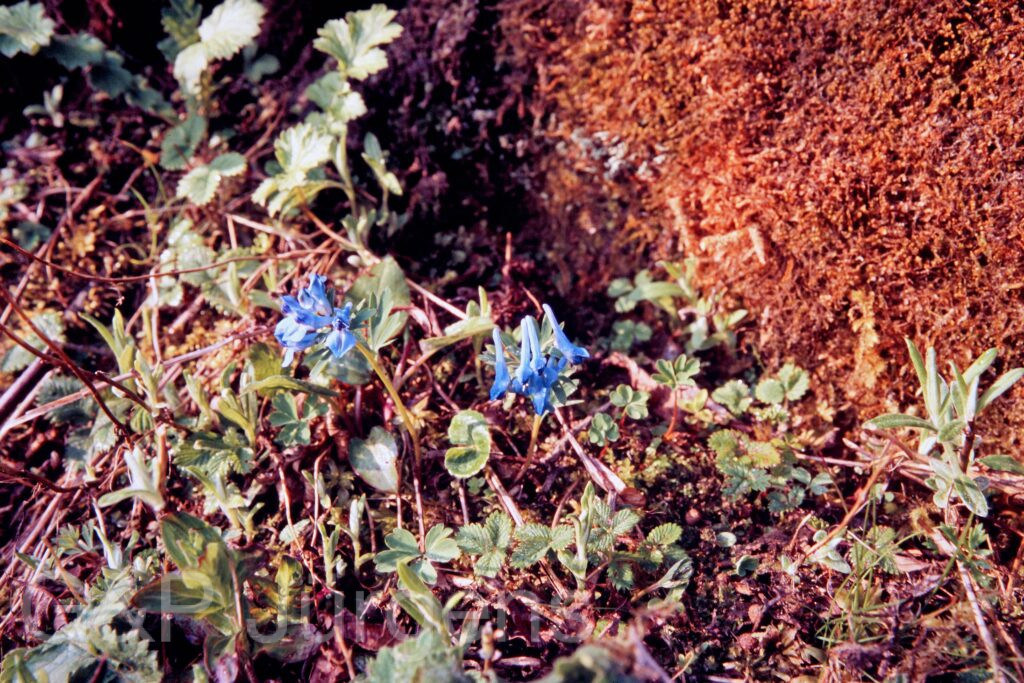 Garh 07 117 ergebnis