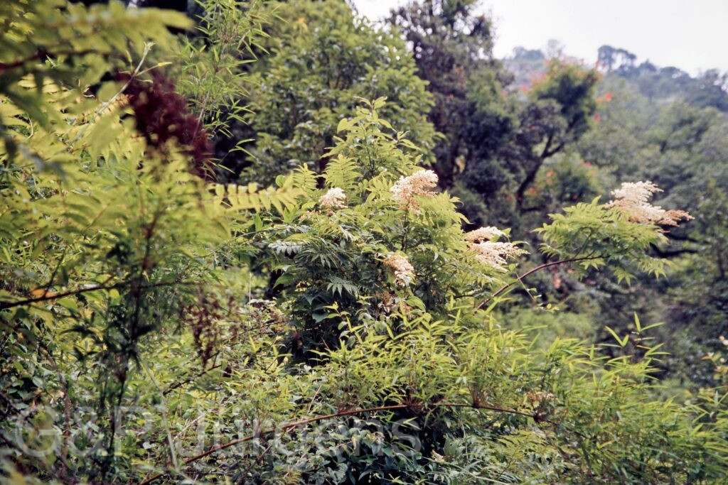 Garh 07 304 ergebnis