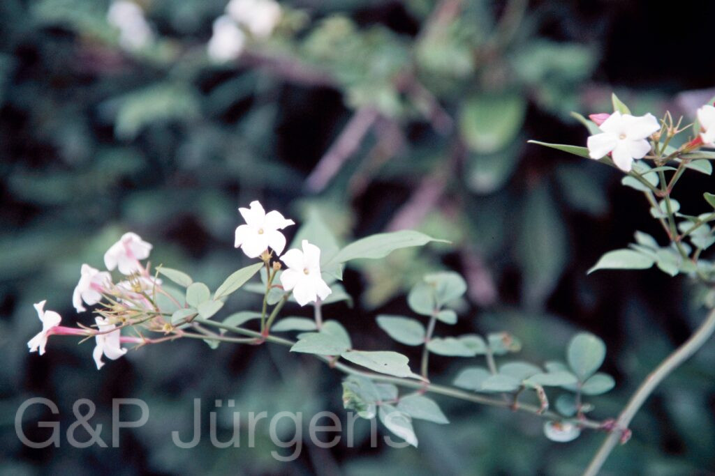 Garh 07 309 ergebnis