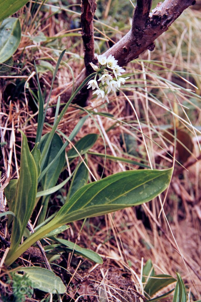 Garh 07 131 ergebnis