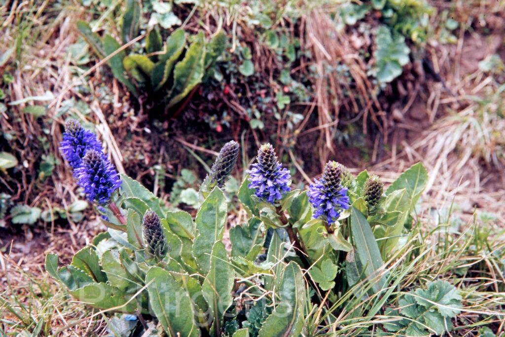 Garh 07 160 ergebnis