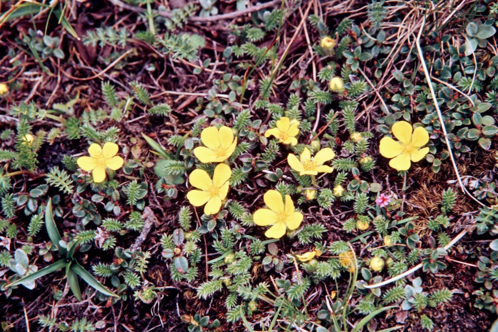 Garh 07 374 ergebnis