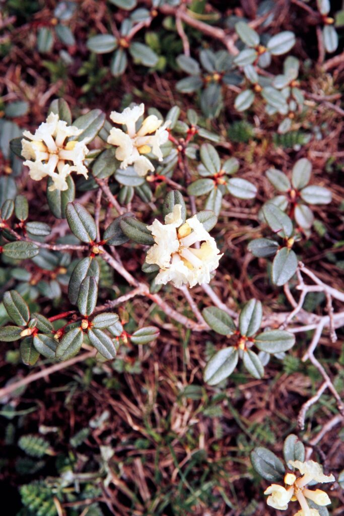 Garh 07 379 ergebnis