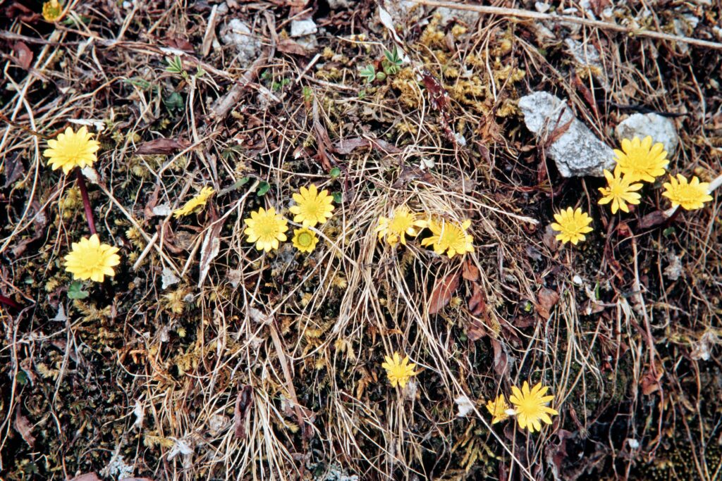 Garh 07 408 ergebnis