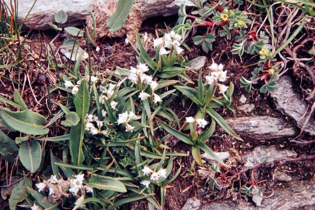 Garh 07 412 ergebnis