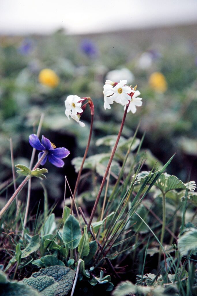 Garh 07 418 ergebnis