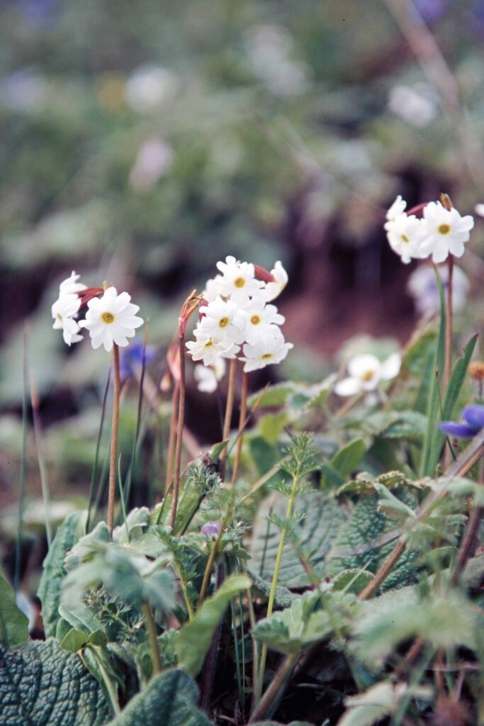 Garh 07 419 ergebnis