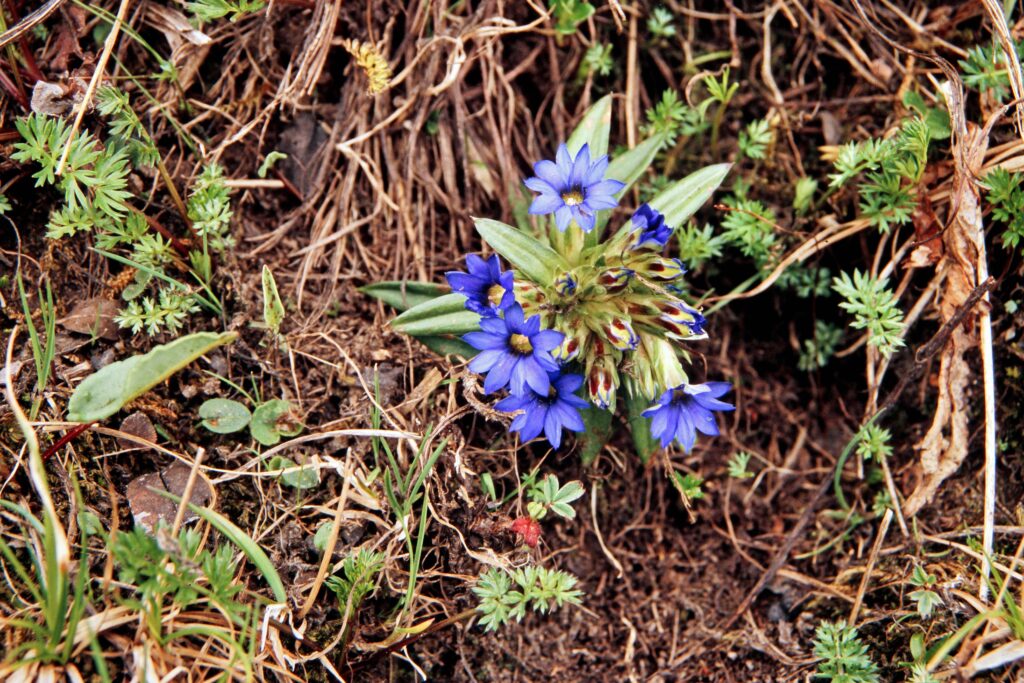 Garh 07 420 ergebnis