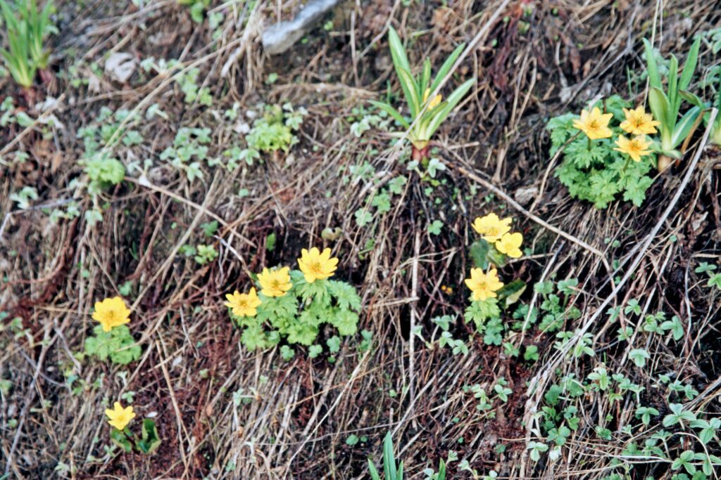 Garh 07 437 ergebnis