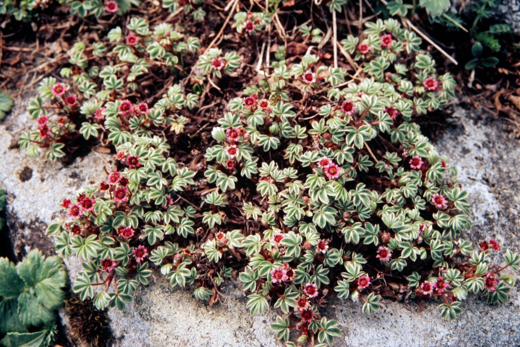 Garh 07 454 ergebnis