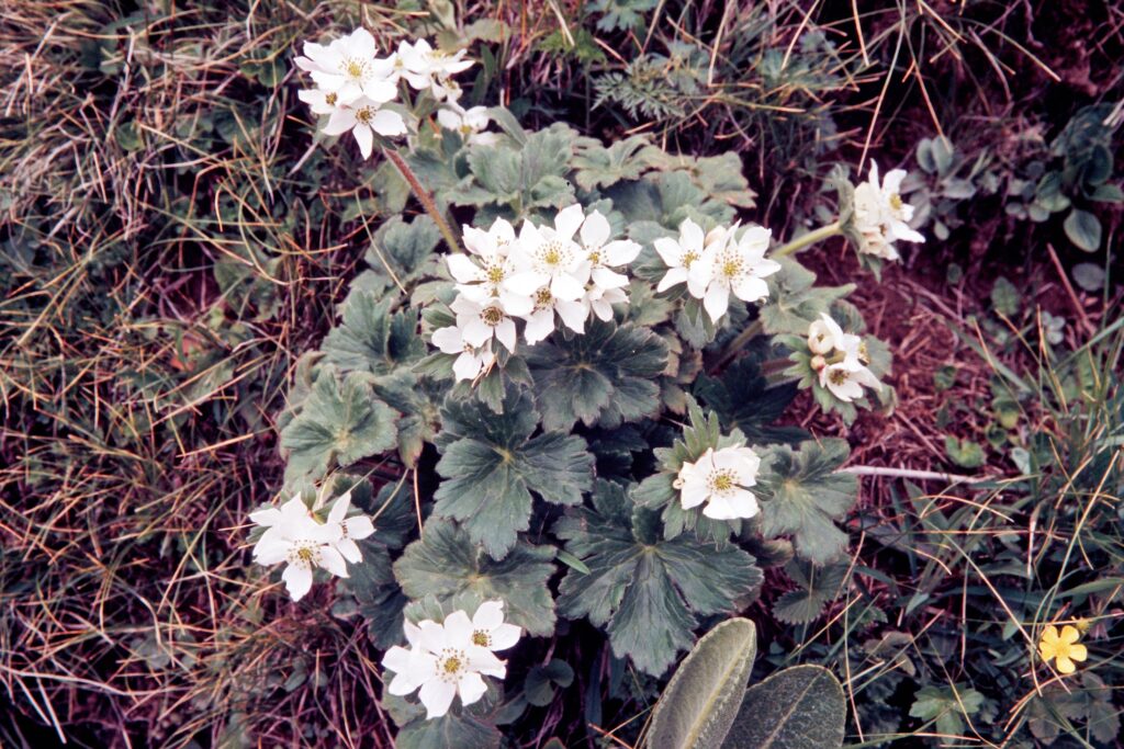 Garh 07 464 ergebnis
