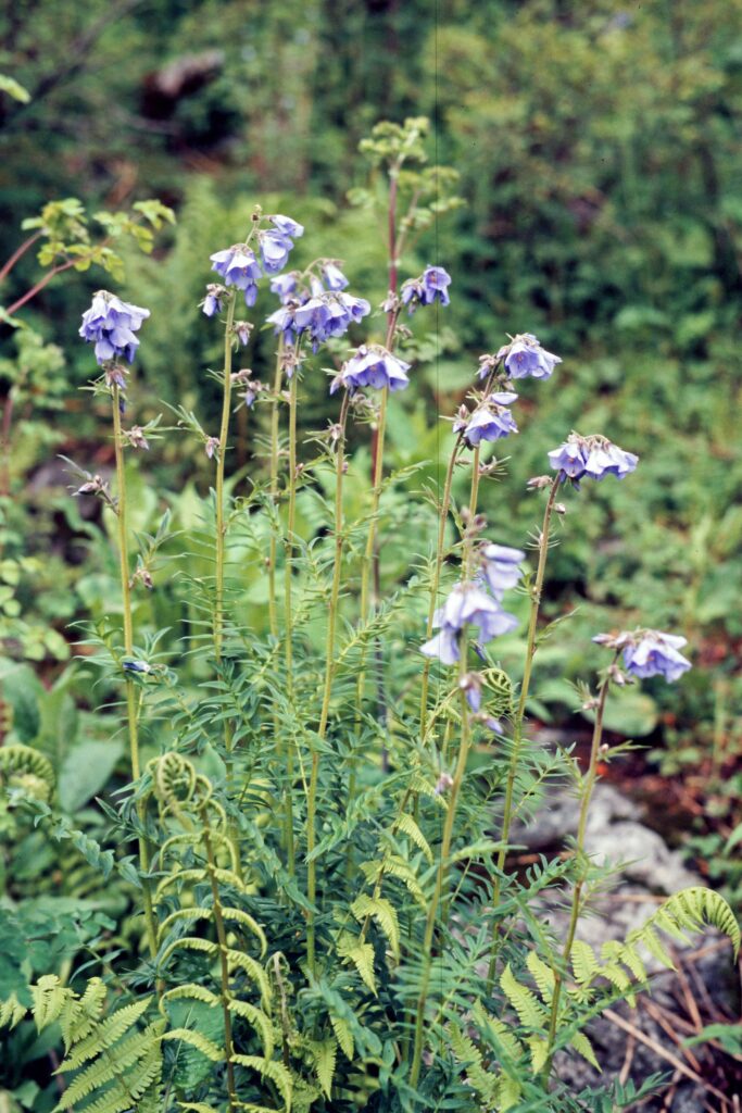 Garh 07 573 ergebnis