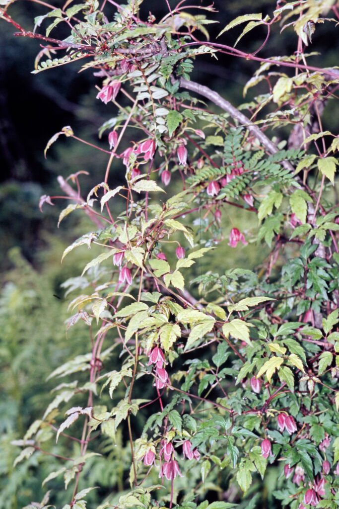 Garh 07 576 ergebnis