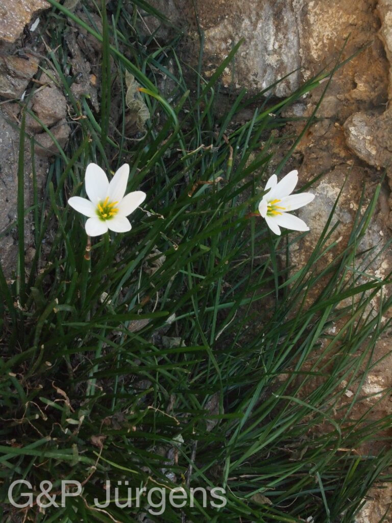 Bhutan2012 1104