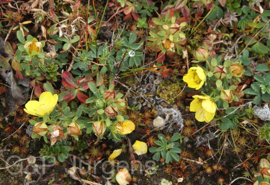 Bhutan2012 910